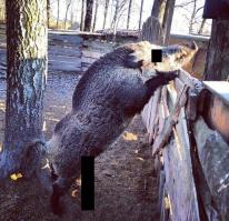 Опять эта интригующая хрень с кубиками! Вот так заголовок поста был бы гораздо эпичнее: