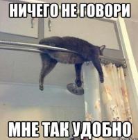 коты - они такие))