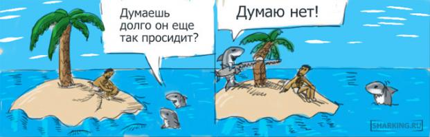 Акула на охоте