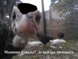 Фотоподборка за 22.05.2014