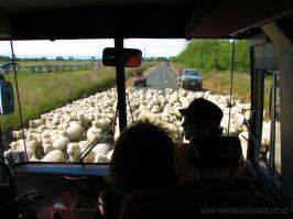 Вот ещё один снимок из кабины Ивеко, перед аварией
