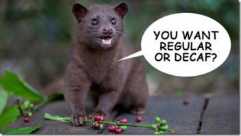 Этот вот все равно круче, его "порции" - самый дорогой в мире кофе!