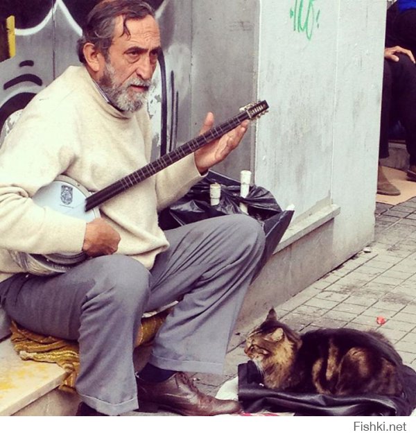 О, я тоже фоткала этого дядьку с банджо и котиком в Стамбуле в ноябре=))