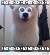 Глаза на липучке 