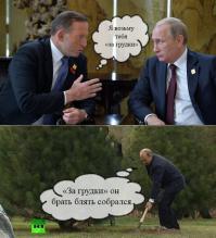 Фотоподборка за 12.11.2014