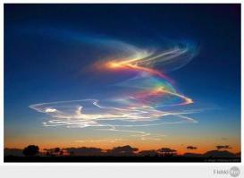 Интересные факты, которых вы могли не знать