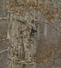 Прозрачные вещи удивляют