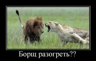 Если бы не забор....