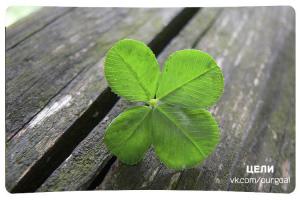 Последний снимок