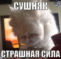 с добрым утром