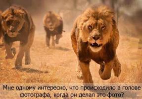 За секунду до ...