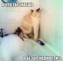 20 котов, которые пожалели о том, что сделали