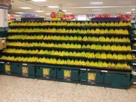 Рай перфекциониста