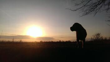 Оцените случайный кадр.