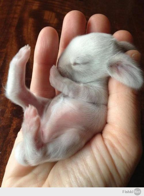 Минута доброты