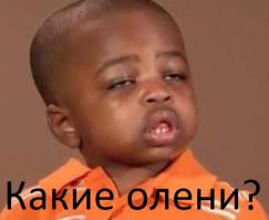 Да что ты знаешь о лени?