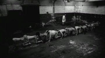 на человеческую многоножку похоже