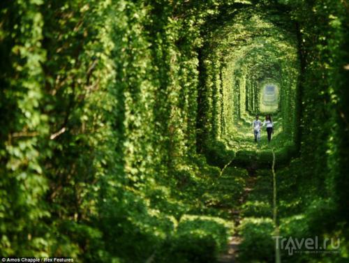 Лучшие фотографии железнодорожной тематики 2013 года