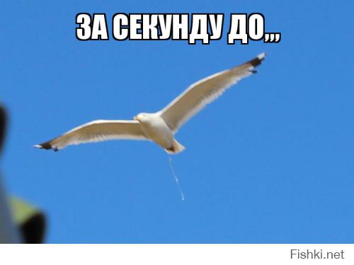 За секунду до ...