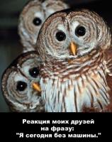 вот прям в яблочко!))))))))