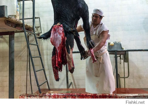 Приятного аппетита. Удовольствие- это главное!