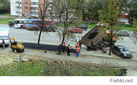 Деревья, победившие бетон и асфальт