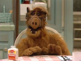 Встать под знаменем котов будь готов! - Всегда готов!