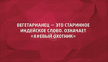 Самая сонная лиса 