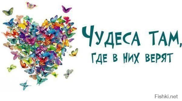 Фишкина солянка за 22.08.2014