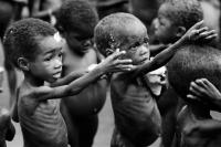 Тем временем в Африке.