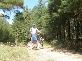 Велик + собака хаски + лесная тропинка и будет тебе счастье.