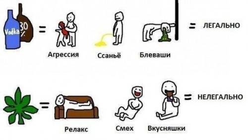 Подборка видео от 12.12.2013