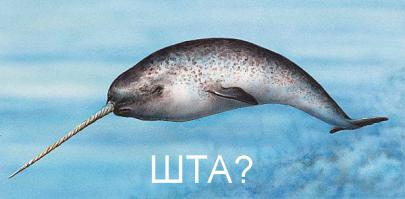 Иногда вот так вот ВНЕЗАПНО