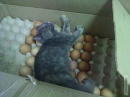 Тоска по утраченному.