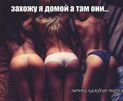 Фишкина солянка за 22.07.2014 