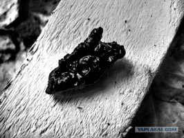 Вот жвачка моего детства! Ну и завод по производству таких жвачек...