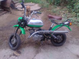 А как же макаки?