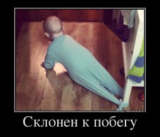 Хотел адъютантом стал комбригом