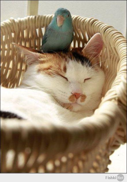 Бывает по разному))))