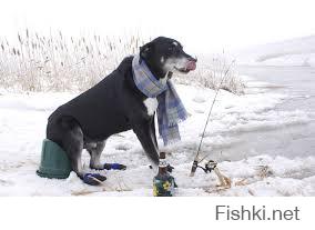 Собака поймала большую рыбу