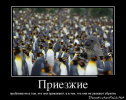 А как бы вы поступили на месте водителя автобуса?