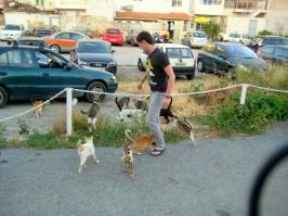 Вот мои при отельные Критские блохастики)))