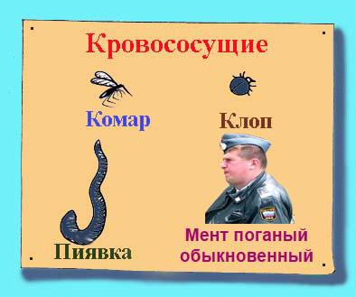 Не пора ли нашим ребятам из ФСБ вспомнить, как работало КГБ?