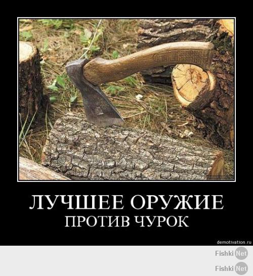  Альтернативный взгляд на Иран