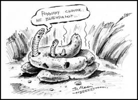 Фишкина солянка за 16.08.2014 