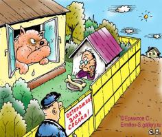 Фишкина солянка за 22.08.2014