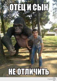 Фишкина солянка за 31.08.2014