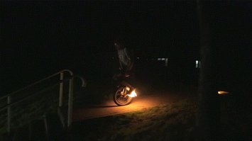 Гифки дня