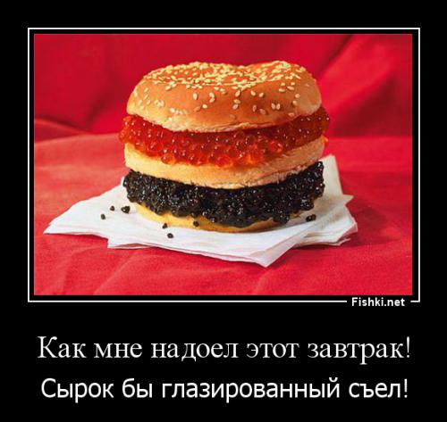 Фишкина солянка за 12.02.2014