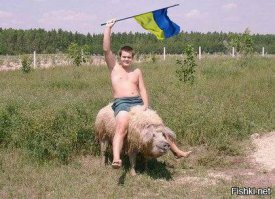 Настоящий Крым